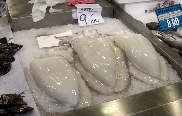 These massive cuttlefish looked very tasty.