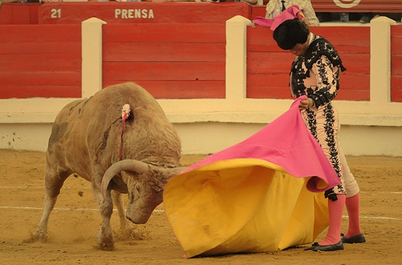 bullfighting spain