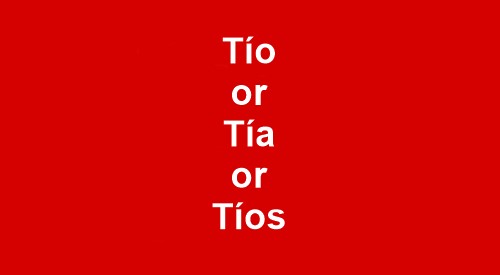 what-does-the-spanish-word-t-o-t-a-or-plural-t-os-mean-in-english